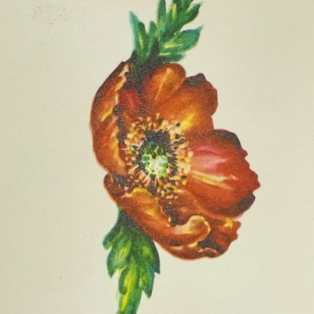 Vintage UNUSED Belated Birthday Poppy Die-Cut Embossed Artistic Greeting Card